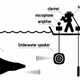 Illustration for article titled Do whales appreciate clarinet music?